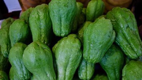 佛手瓜施肥可以吃鸡粪吗,鸡粪使用指南